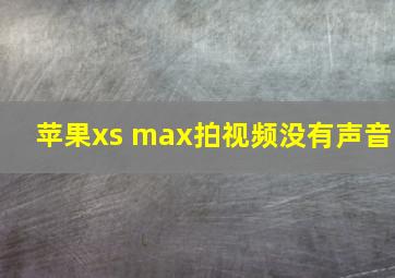 苹果xs max拍视频没有声音